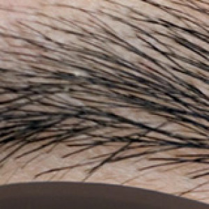 John Baldessari Editions 2009 Eyebrow