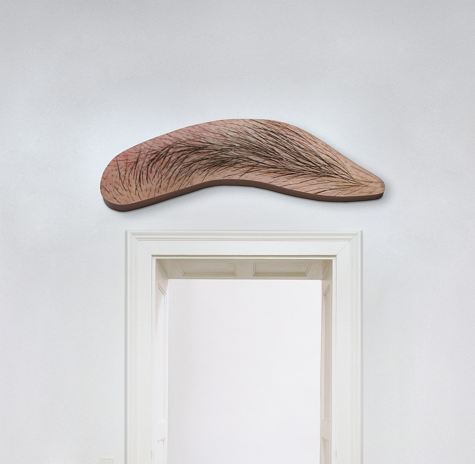John Baldessari 2009 Eyebrow