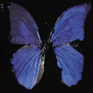 Damien Hirst Editions 2005 The Soul on Jacob's Ladder