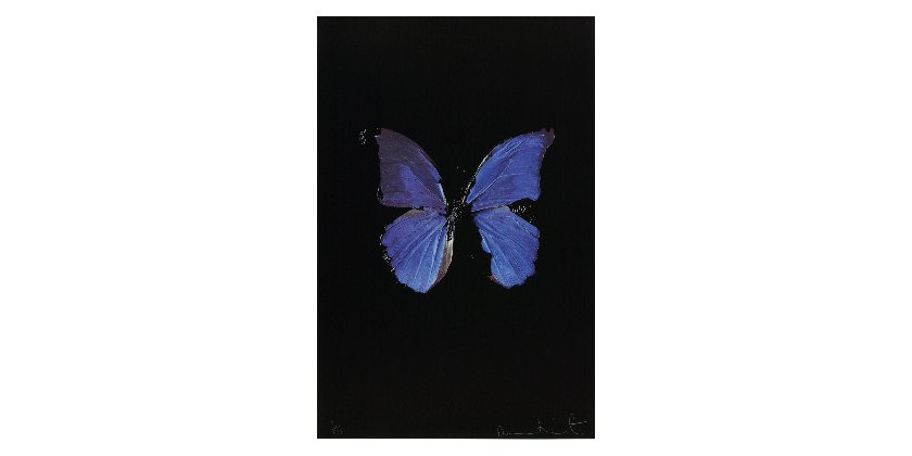 Damien Hirst 2005 The Soul on Jacob's Ladder Damien Hirst 2005 The Soul on Jacob's Ladder
