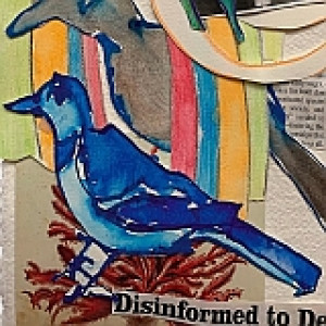 Joan Jonas - Disinformed to Death Joan Jonas - Disinformed to Death