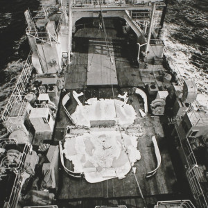 Matthew Barney - Untitled Matthew Barney - Untitled