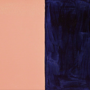 Günther Förg Editionen 2000 9 Farben Günther Förg Editionen 2000 9 Farben