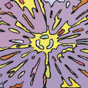 Peter Halley - Cartoon Explosion