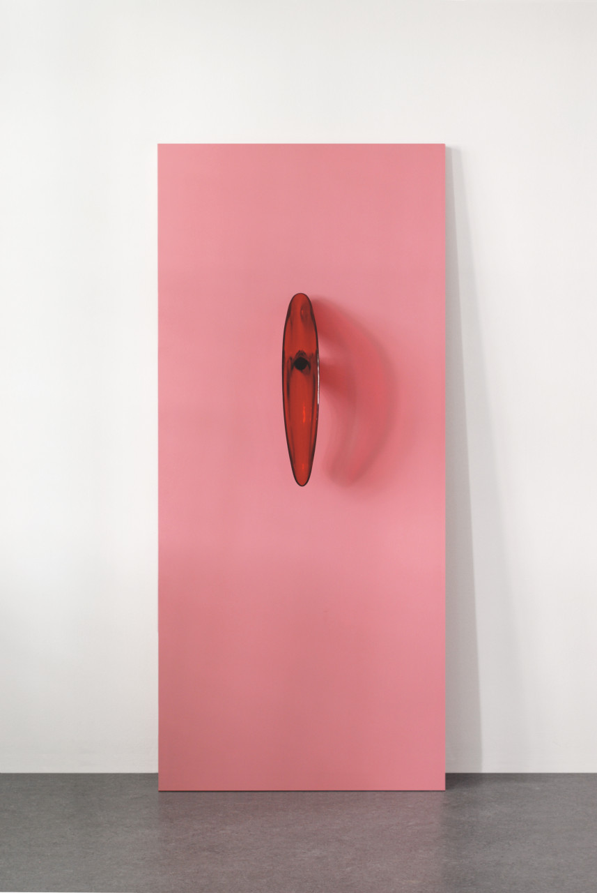 anish-kapoor-reverse-perverse image