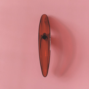 Anish Kapoor - Reverse Perverse
