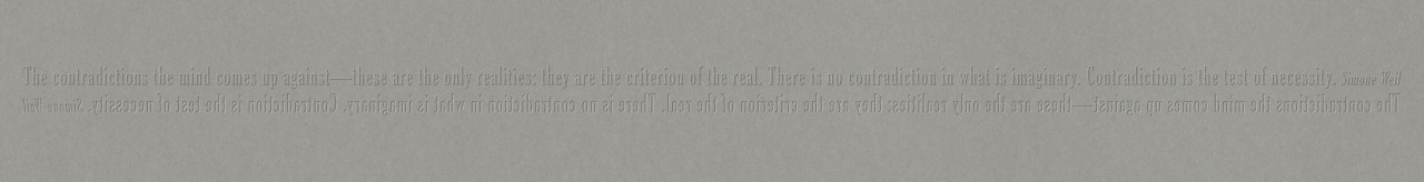 Joseph Kosuth 2009 The Criterion Of The Real