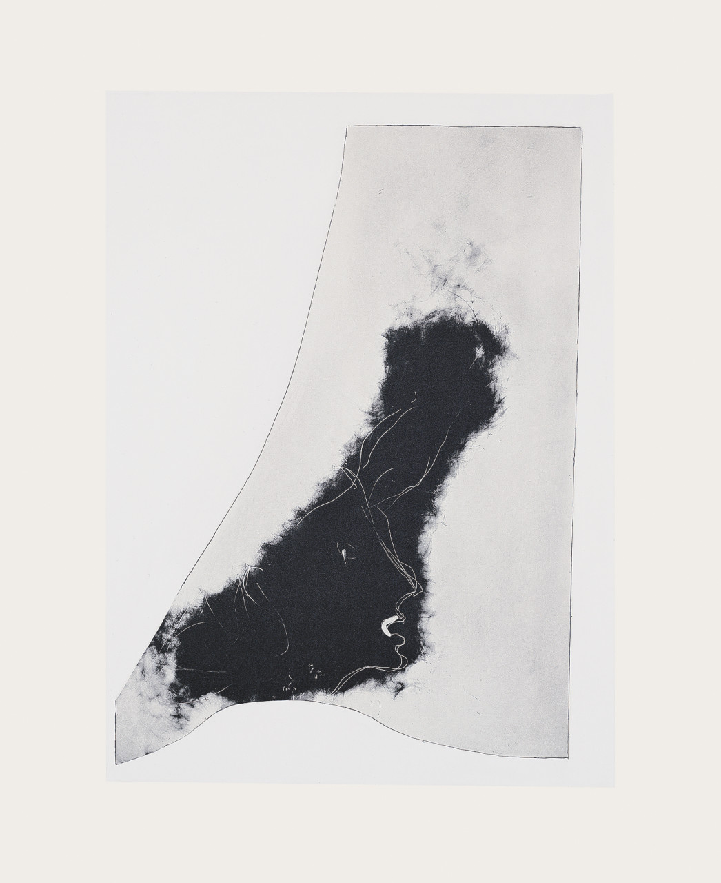 item cover image