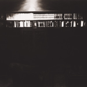 Robert Longo Editions 2004 Bookcase in Study Room