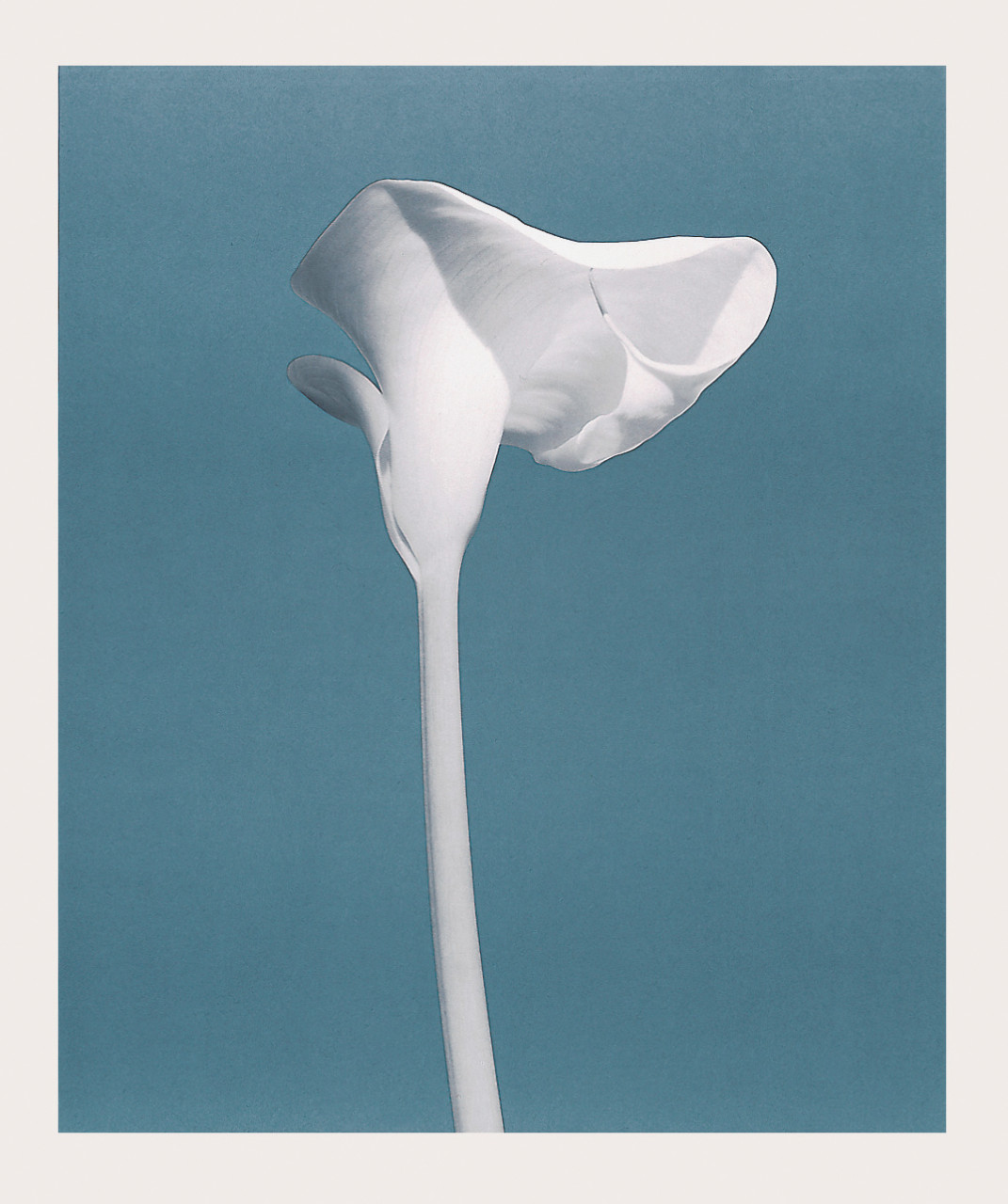 item cover image