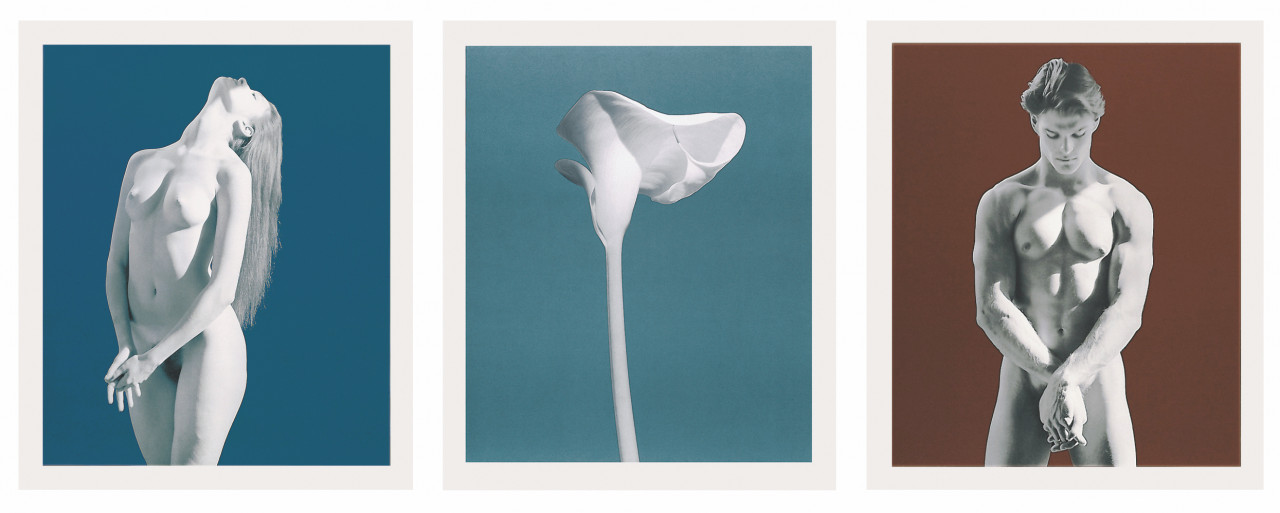 robert-mapplethorpe-america image