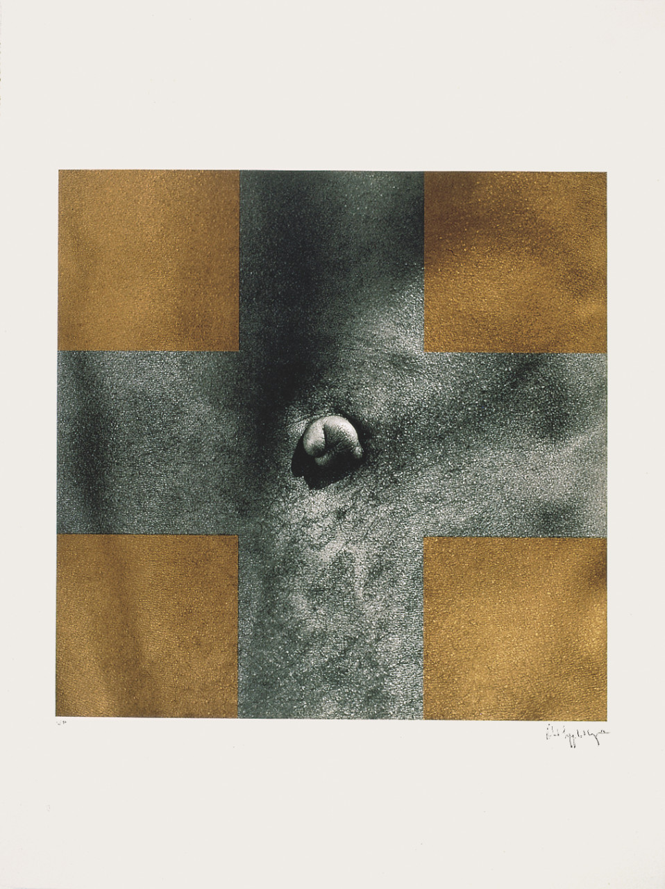 robert-mapplethorpe-cross image