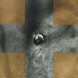 Robert Mapplethorpe - Cross