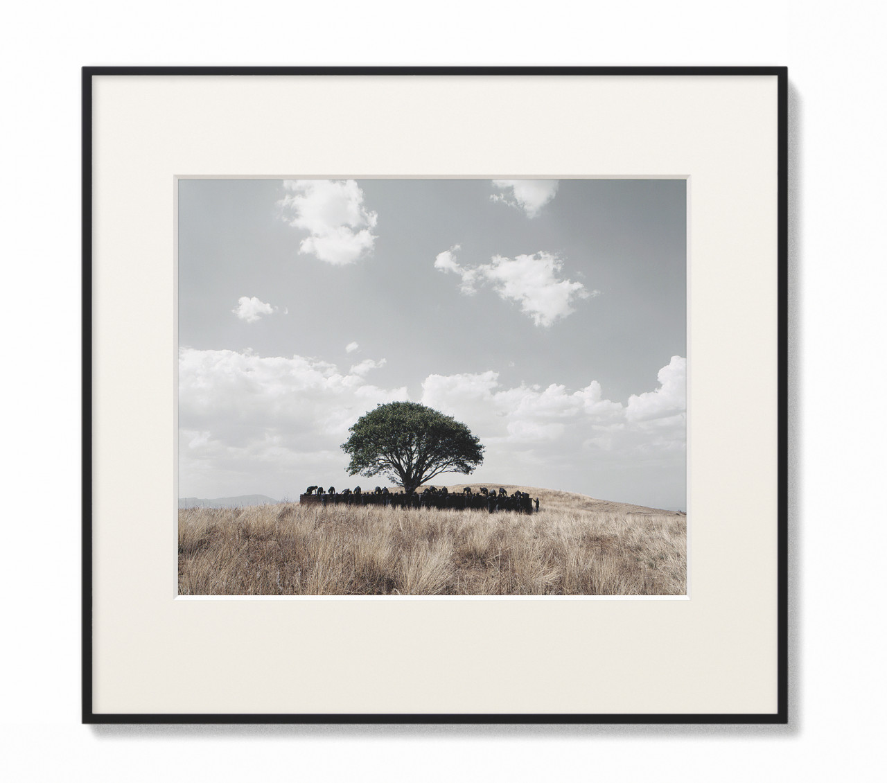 shirin-neshat-untitled-tooba image