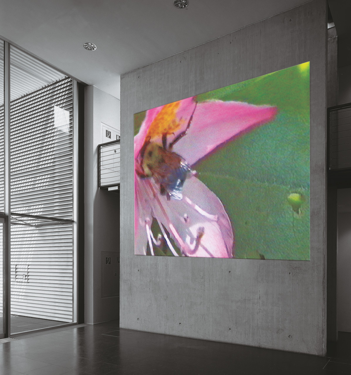 Tony Oursler 1998 The Way of All Flesh (Air) and The Way of All Flesh (Sugar)
