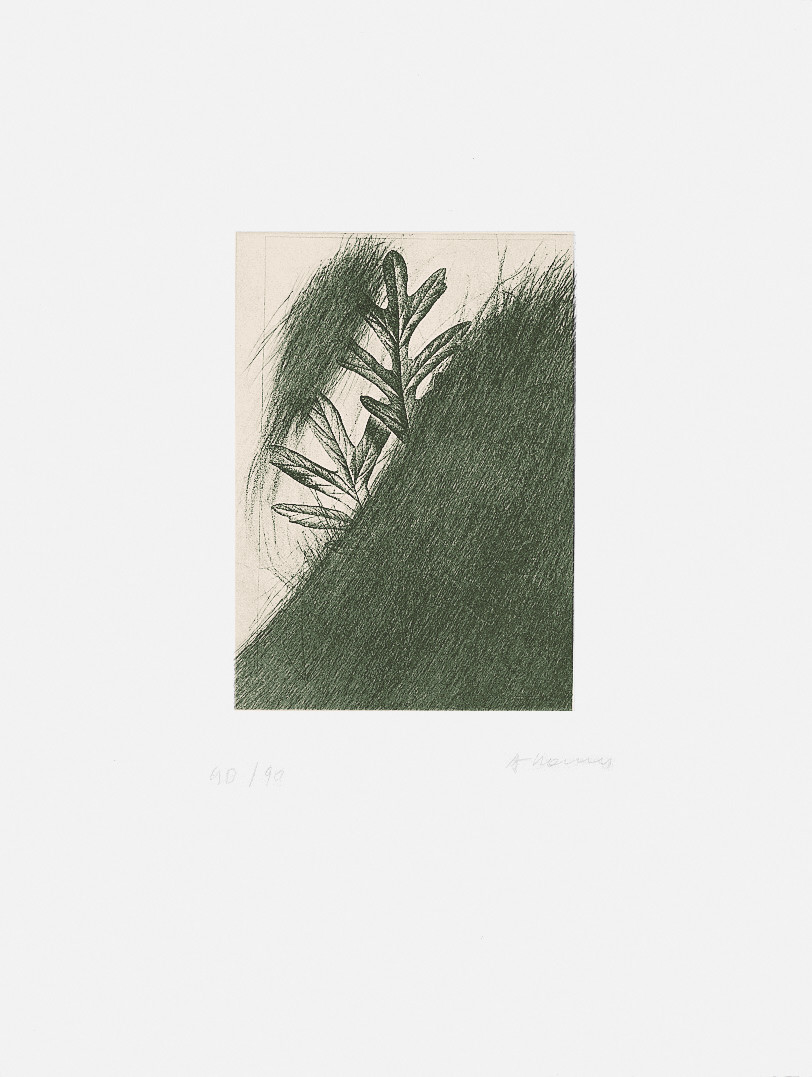 arnulf-rainer-eichenblatt image