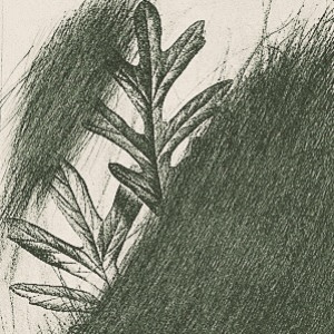 Arnulf Rainer - Eichenblatt
