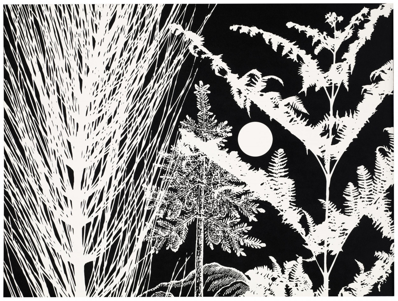 item cover image