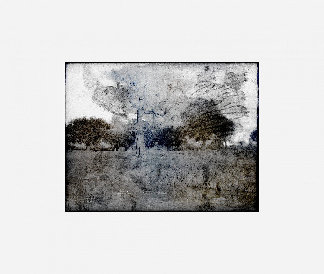 item cover image