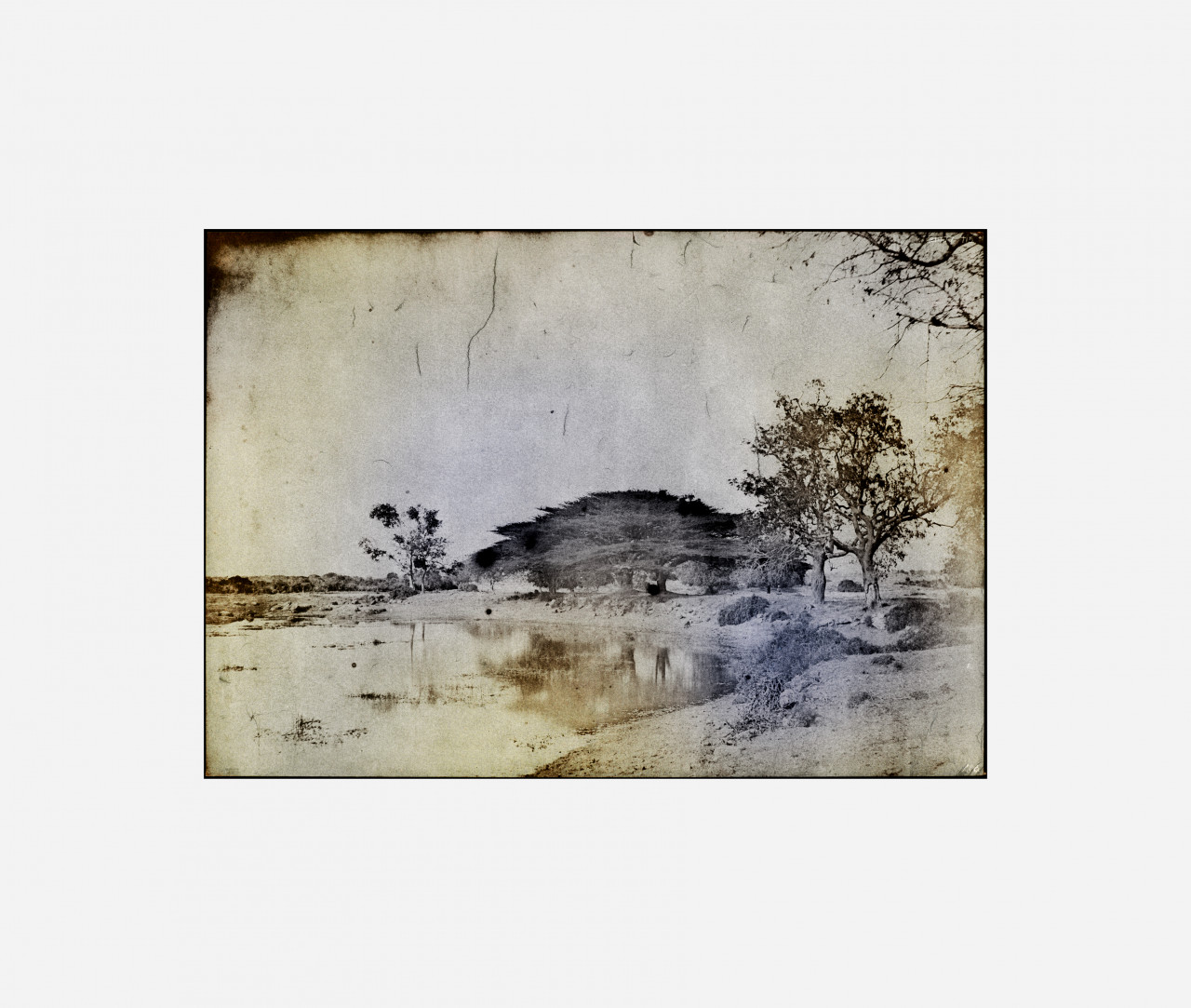 item cover image
