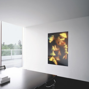Cindy Sherman - Untitled (Wall Work) Cindy Sherman - Untitled (Wall Work)