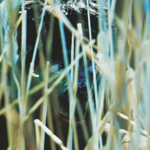 Cindy Sherman - Untitled (from: For Joseph Beuys)