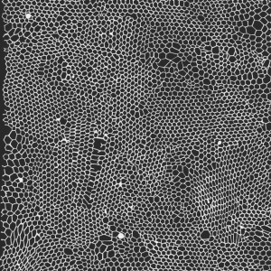 Rachel Whiteread - Untitled (Nets)