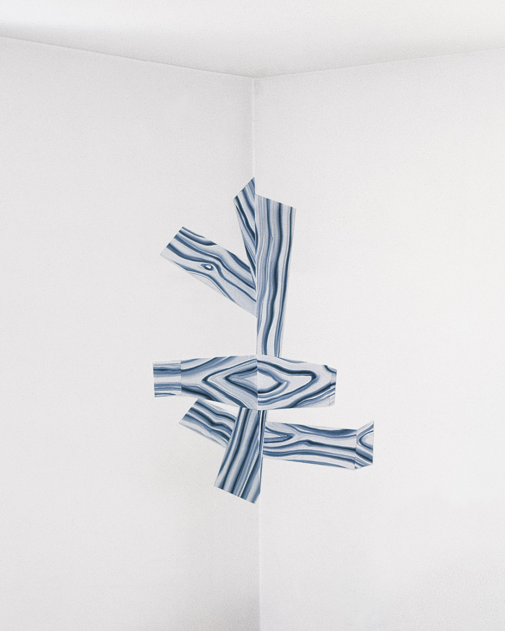 item cover image