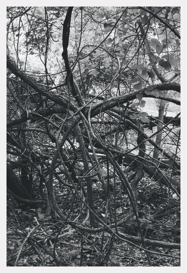 item cover image