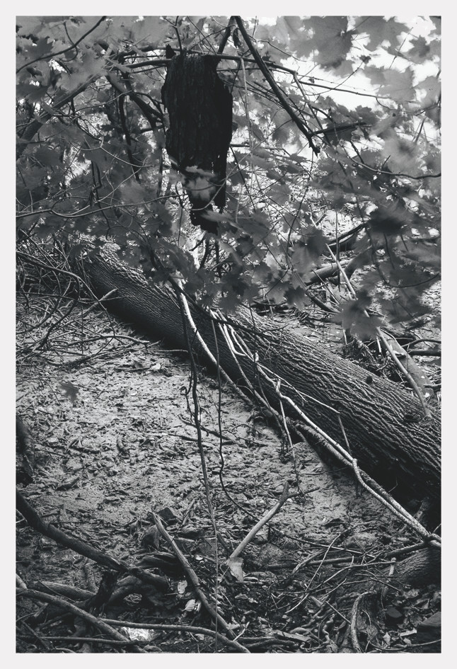 item cover image