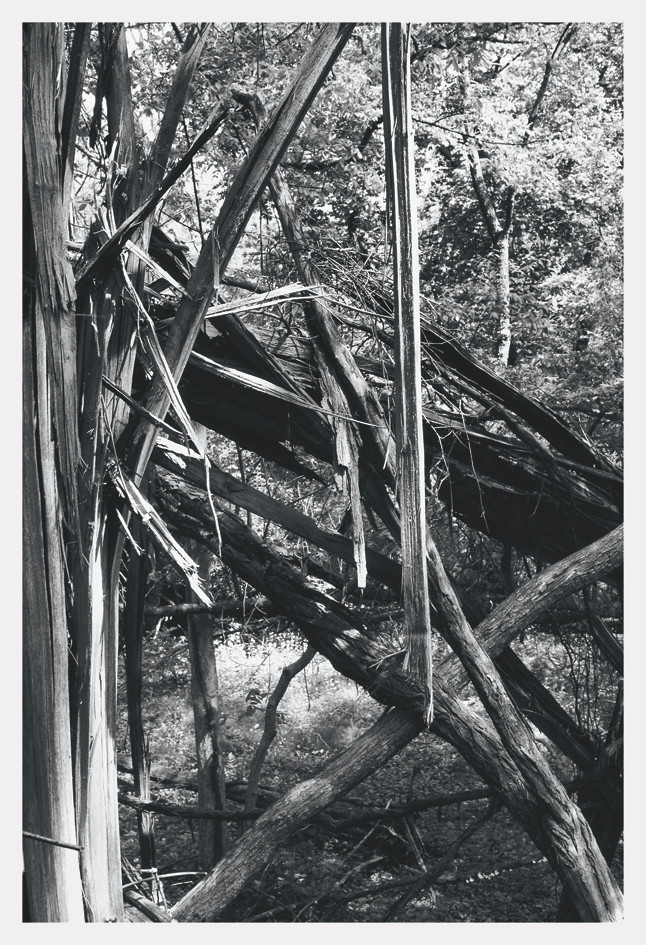 item cover image