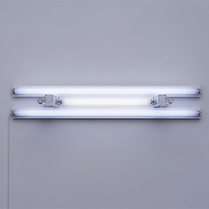 Dan Flavin Editions 1992 Untitled (to Mary Elizabeth) Dan Flavin Editions 1992 Untitled (to Mary Elizabeth)