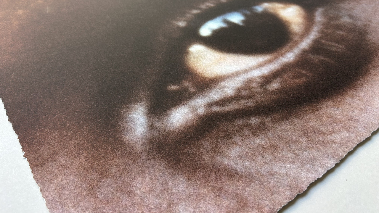 item cover image
