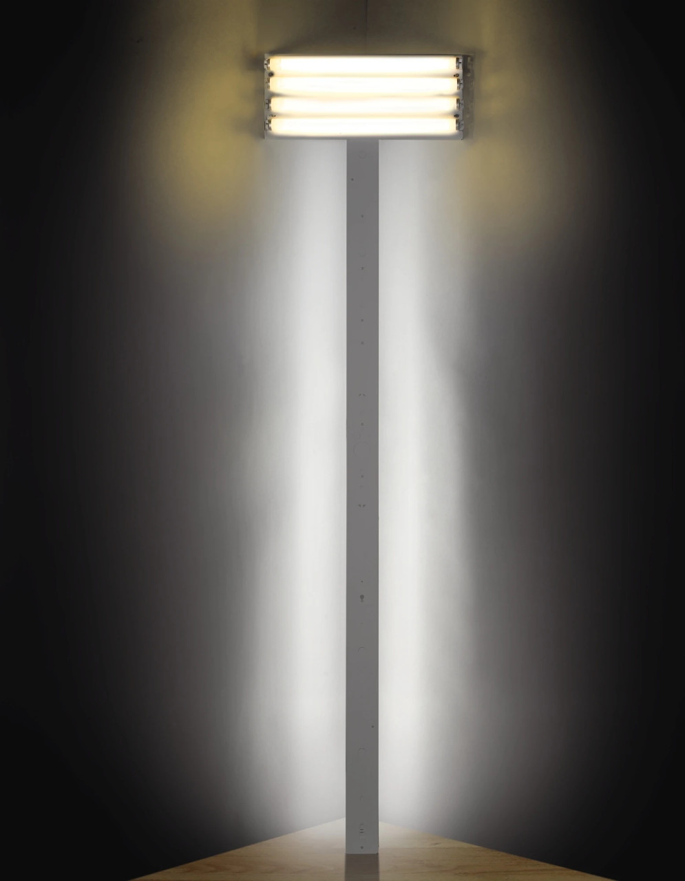 dan-flavin-untitled-to-joerg-schellmann image