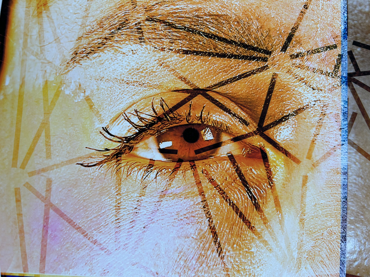 item cover image