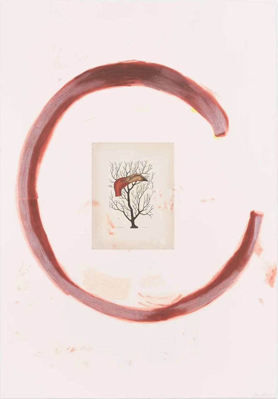 julian-schnabel-flamingo-ii image