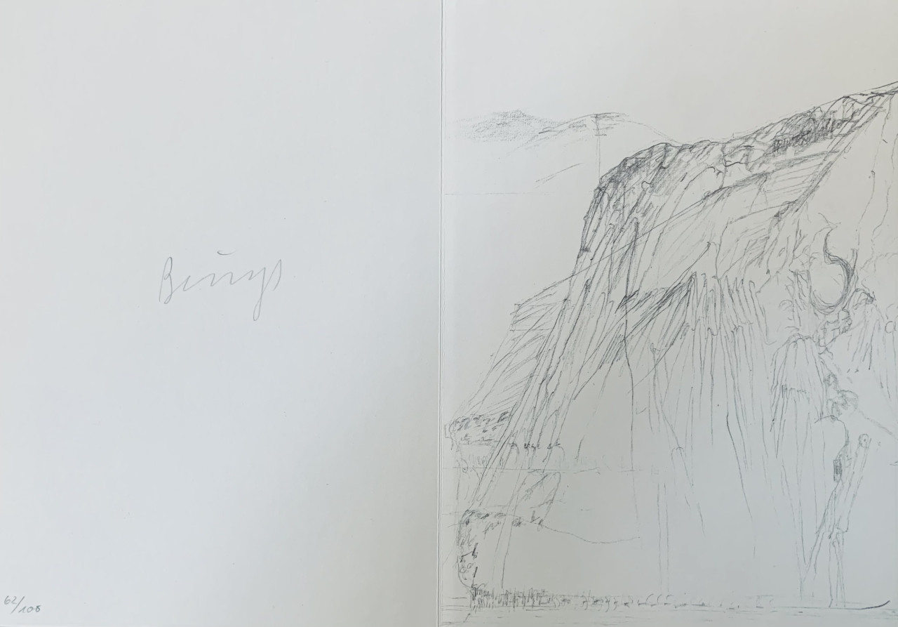 item cover image