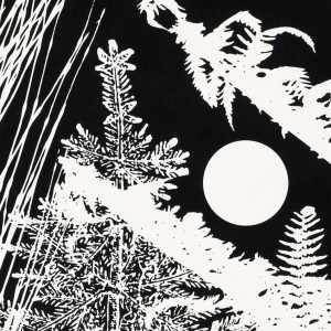 Paul Morrison Editions 2004 from: Black Dahlias