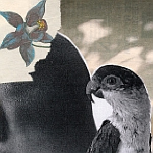 James Richards - Untitled James Richards - Untitled