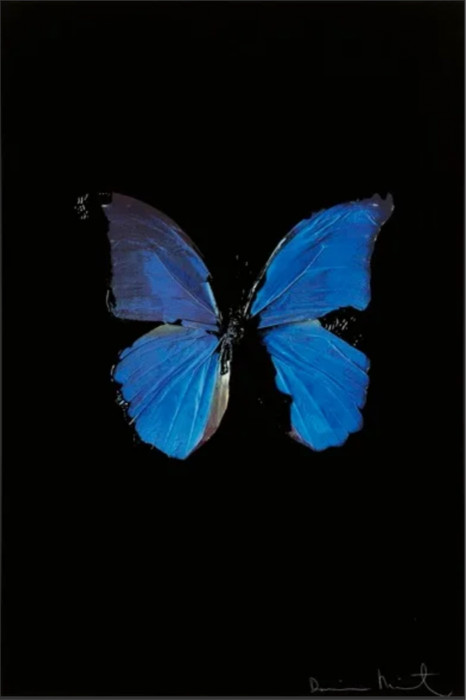 Damien Hirst 2005 The Soul on Jacob's Ladder Damien Hirst 2005 The Soul on Jacob's Ladder
