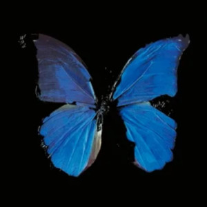 Damien Hirst Editionen 2005 The Soul on Jacob's Ladder