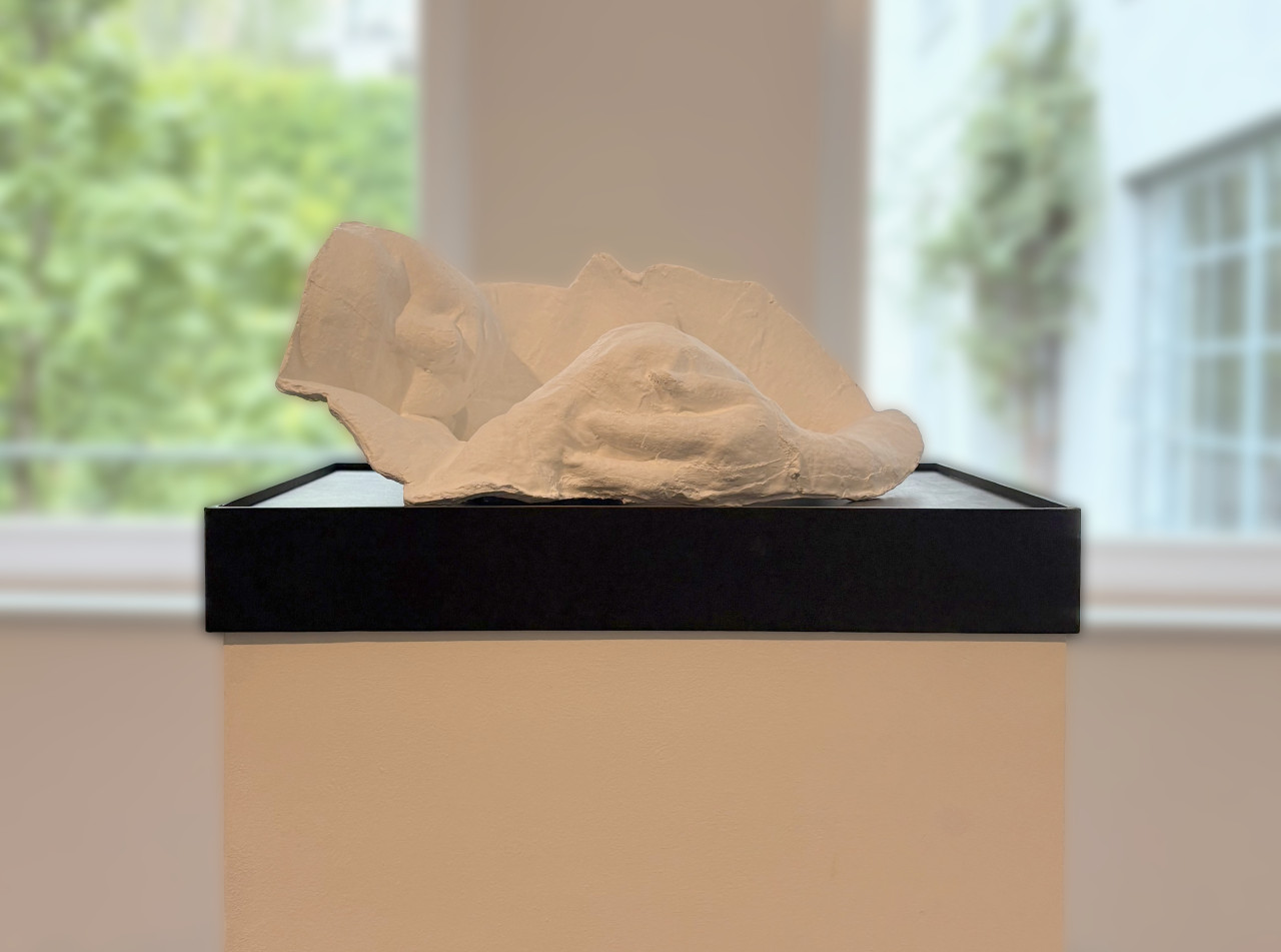 Sleeping Woman by George Segal